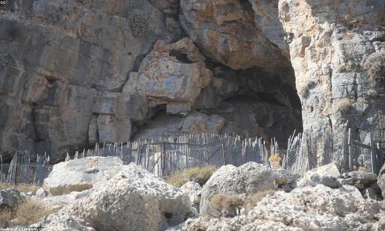 1788999620367874.jpg 泰姬陵兼容性测试,多场景适配与协同-配图